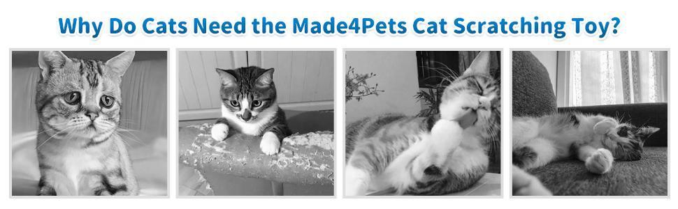 Indoor Cat Soft Scratching Board And Interactive Ball Track Toy Cat Rest And Grooming Supplies